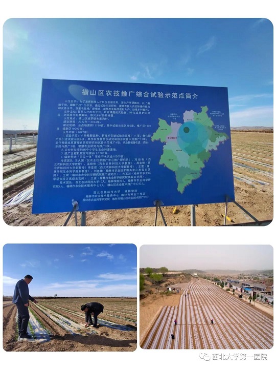 21点基本策略
